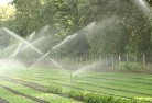 Yeungroonlandscaping-water-management-and-drainage-17.jpg; ?>